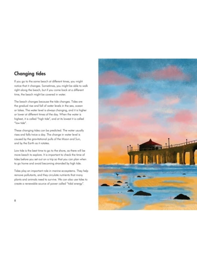 What to Look For by the Shore  - Image 2