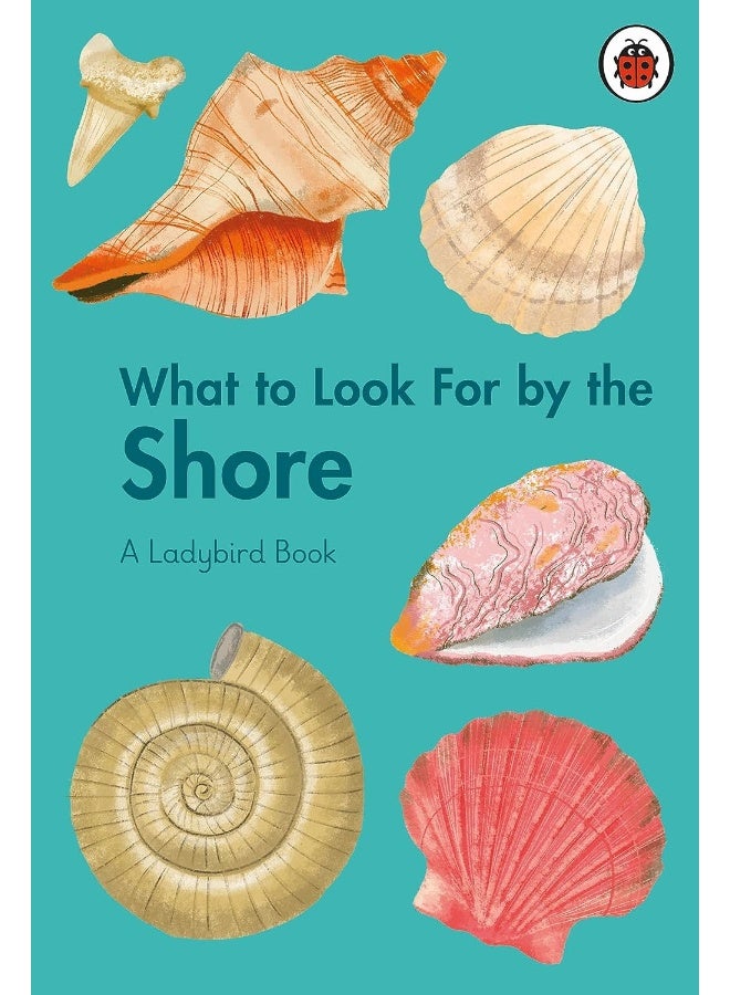 What to Look For by the Shore  - Image 1