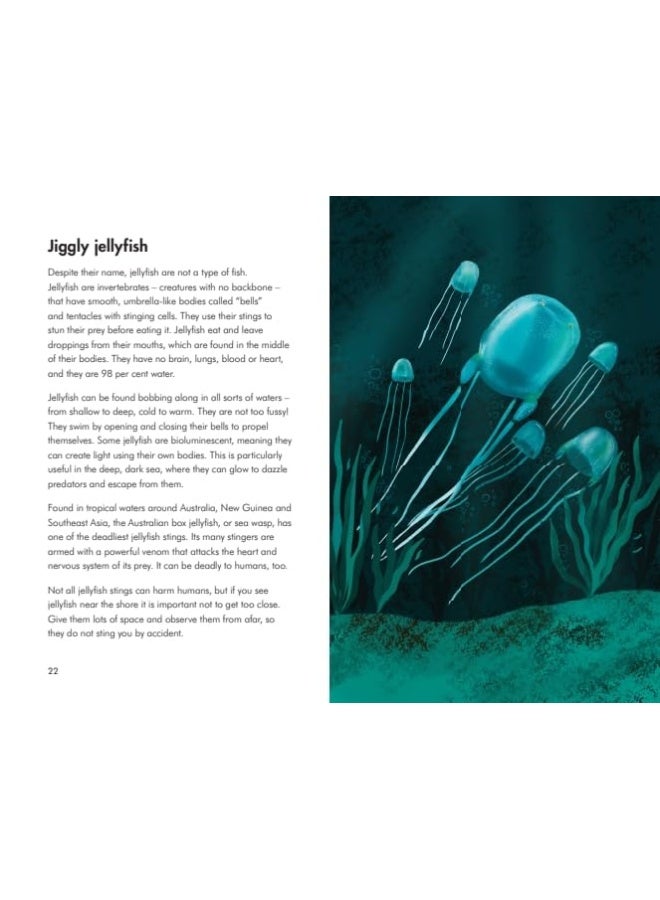 What to Look For by the Shore  - Image 4