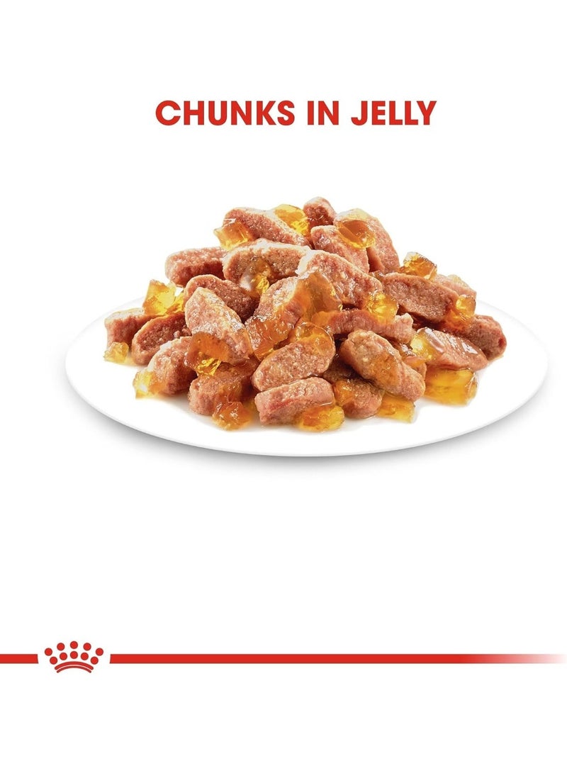 Royal Canin JELLY KITTEN INSTINCTIVE- 85g- 6 POUCHES BOX WET CAT FOOD SLICES IN GRAVY - Image 4