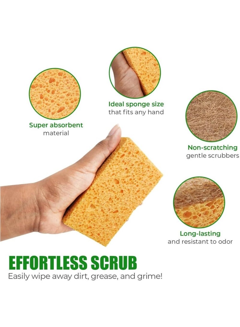 Natural Kitchen Sponges, Plant-Based Biodegradable  Dish Sponge, Eco Friendly Sponges for Dishes, Non-Scratch Scouring Pad for Kitchen Countertops, Bathtubs, Tiles, and More (10 Pack) - Image 5