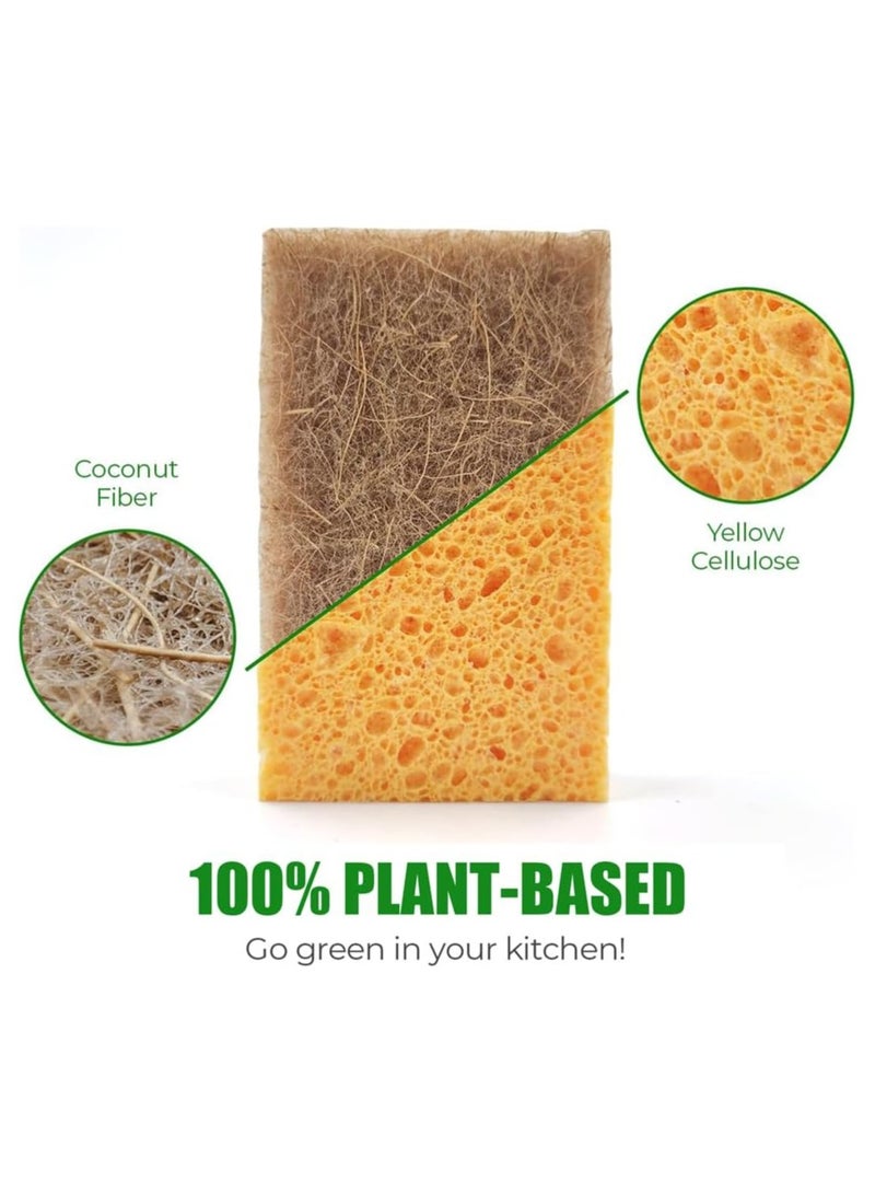 Natural Kitchen Sponges, Plant-Based Biodegradable  Dish Sponge, Eco Friendly Sponges for Dishes, Non-Scratch Scouring Pad for Kitchen Countertops, Bathtubs, Tiles, and More (10 Pack) - Image 3