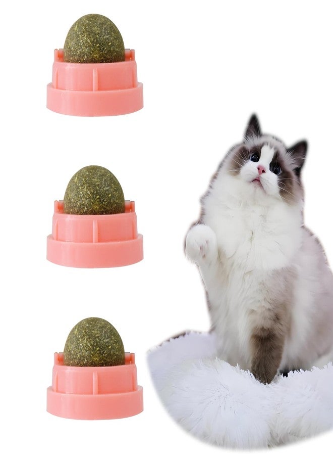 chaekoy Pink Catnip Balls for Cats - 3PCS Wall Catnip Toys Edible Cat Toys for Cat Lick Safe Healthy Kitten Chew Toys Teeth Cleaning Dental Cat Toys - Image 1