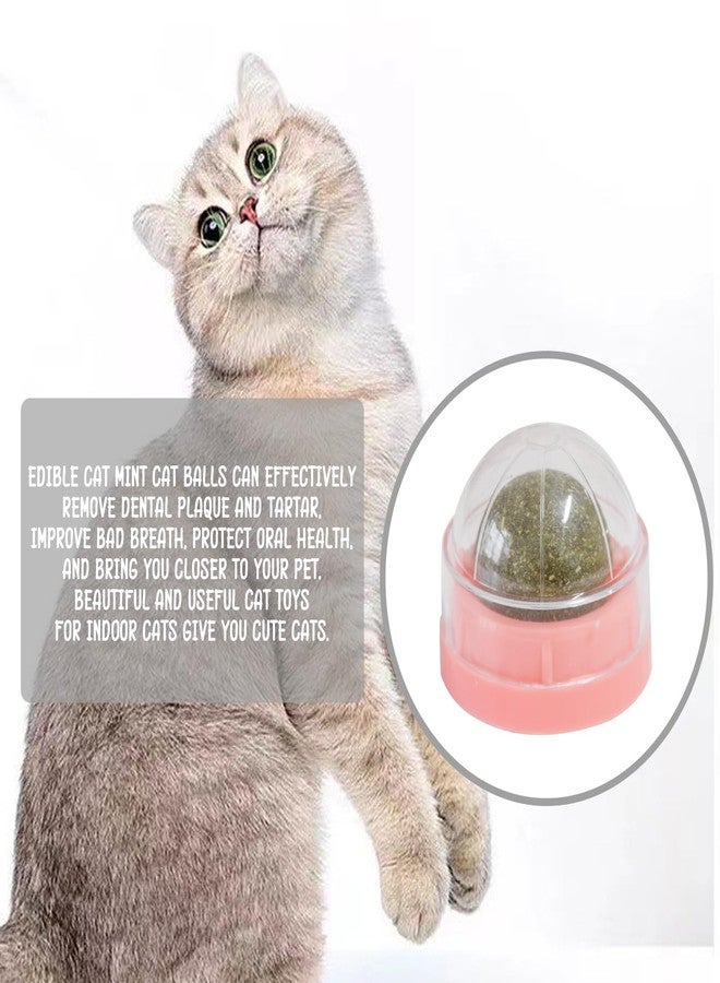 chaekoy Pink Catnip Balls for Cats - 3PCS Wall Catnip Toys Edible Cat Toys for Cat Lick Safe Healthy Kitten Chew Toys Teeth Cleaning Dental Cat Toys - Image 4