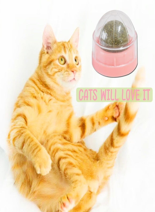 chaekoy Pink Catnip Balls for Cats - 3PCS Wall Catnip Toys Edible Cat Toys for Cat Lick Safe Healthy Kitten Chew Toys Teeth Cleaning Dental Cat Toys - Image 3