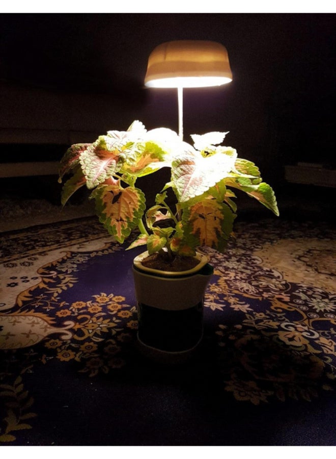 Generic A small indoor planter with special fixed LED lighting that replaces sunlight and helps plants grow.  - Image 4