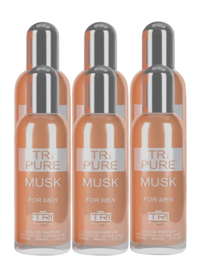 تي أر آي 6 قطع عطر المسك النقي للرجال 100 مل - Image 1