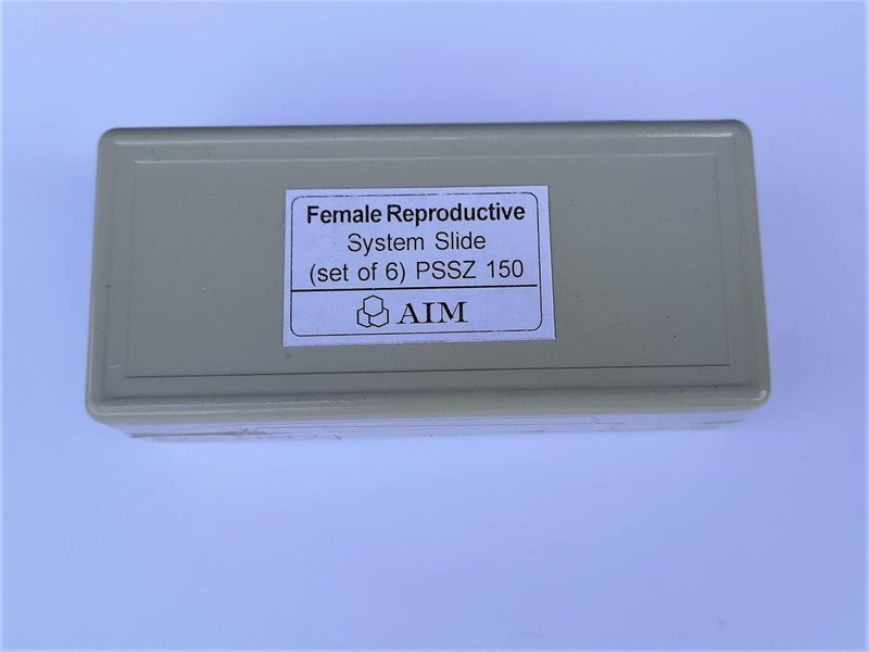 Aim شرائح معدة للجهاز التناسلي الأنثوي (مجموعة من 6) - Image 2