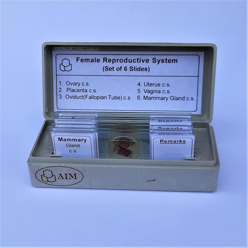 Aim شرائح معدة للجهاز التناسلي الأنثوي (مجموعة من 6) - Image 1