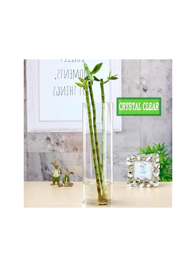 The Bros 2pcs Large Glass Flower Vase 30cm X 11cm Tall Glass Flower Vase Decorative Centrepiece For Home Office Living Room Bedroom Cylinder Shape Clear Glass Decoration Piece - Image 4