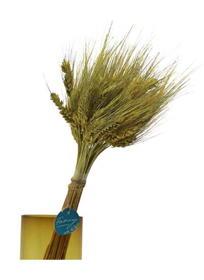 Generic Fancy Dry Wheat Grass Bouquet Natural Dried Flowers (Tuscany, 100)  - Image 3