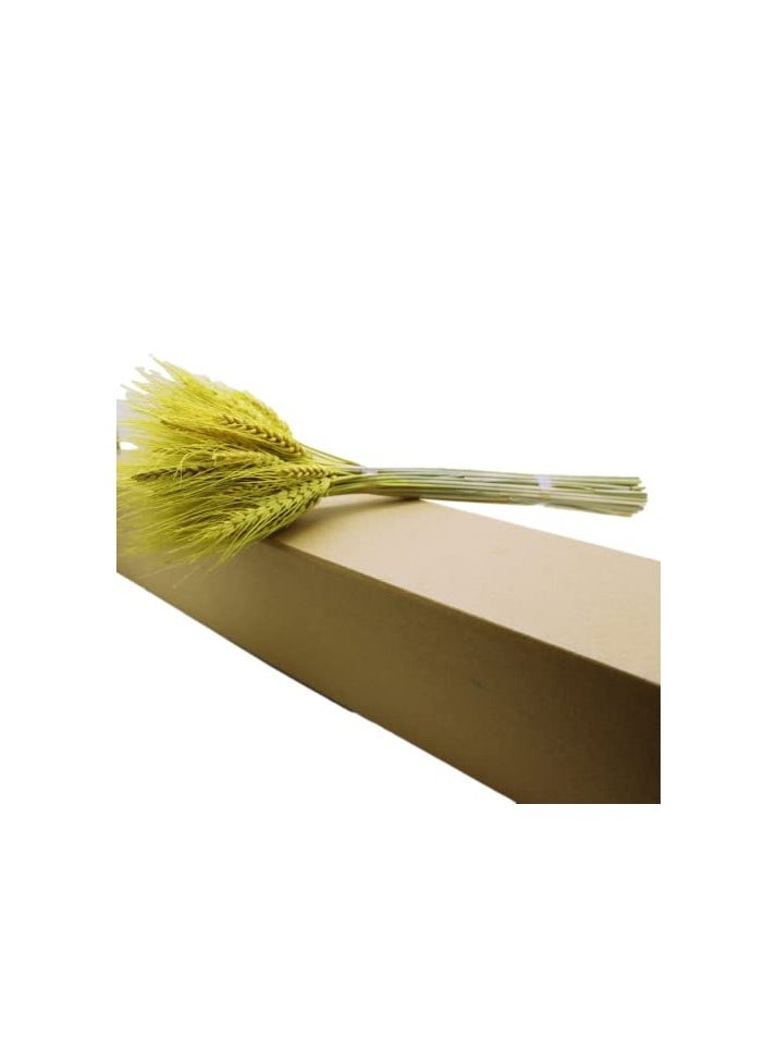 Generic Fancy Dry Wheat Grass Bouquet Natural Dried Flowers (Tuscany, 100)  - Image 4