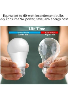 SUN SHINE 10 lamp per box 12W LED Light Bulb  - Image 2