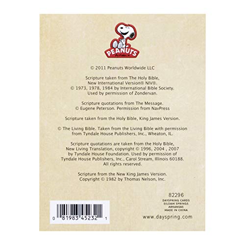 DaySpring - Peanuts - Encouragement Notes - 32 Affirmations for Your Friends, Coworkers, or Family - Image 2