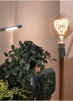 Heart Ball Decorative bulb(103679)