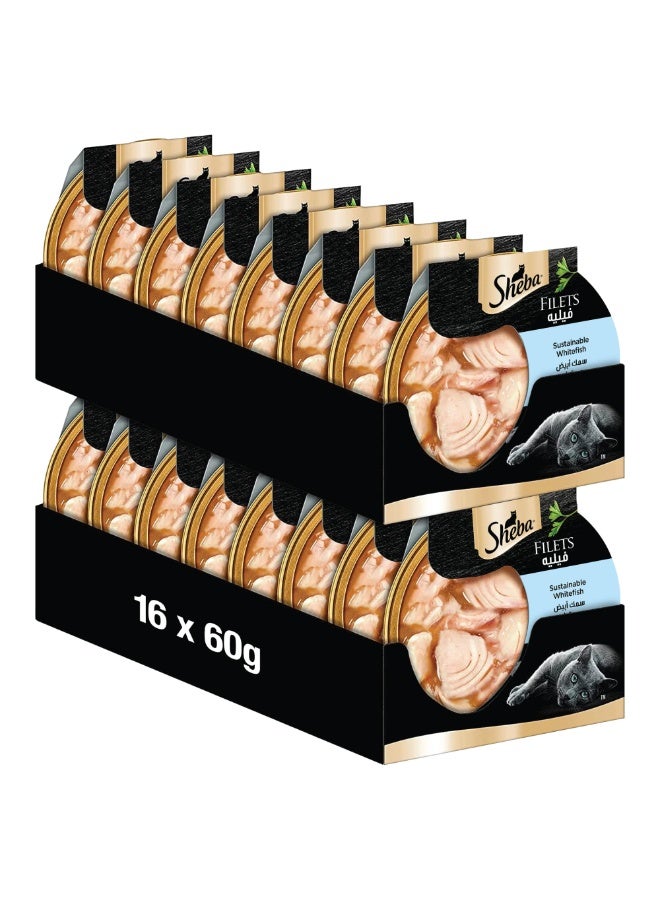 Sheba Filets Sustainable Whitefish Premium Wet Cat Food 16 x 60g - Image 1