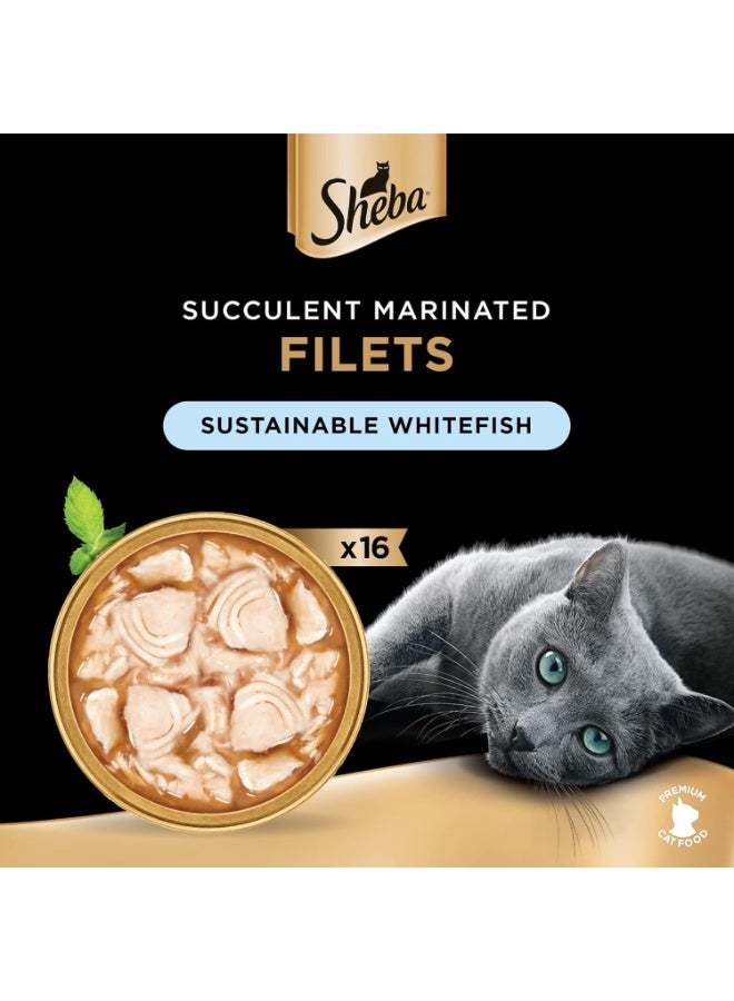 Sheba Filets Sustainable Whitefish Premium Wet Cat Food 16 x 60g - Image 2