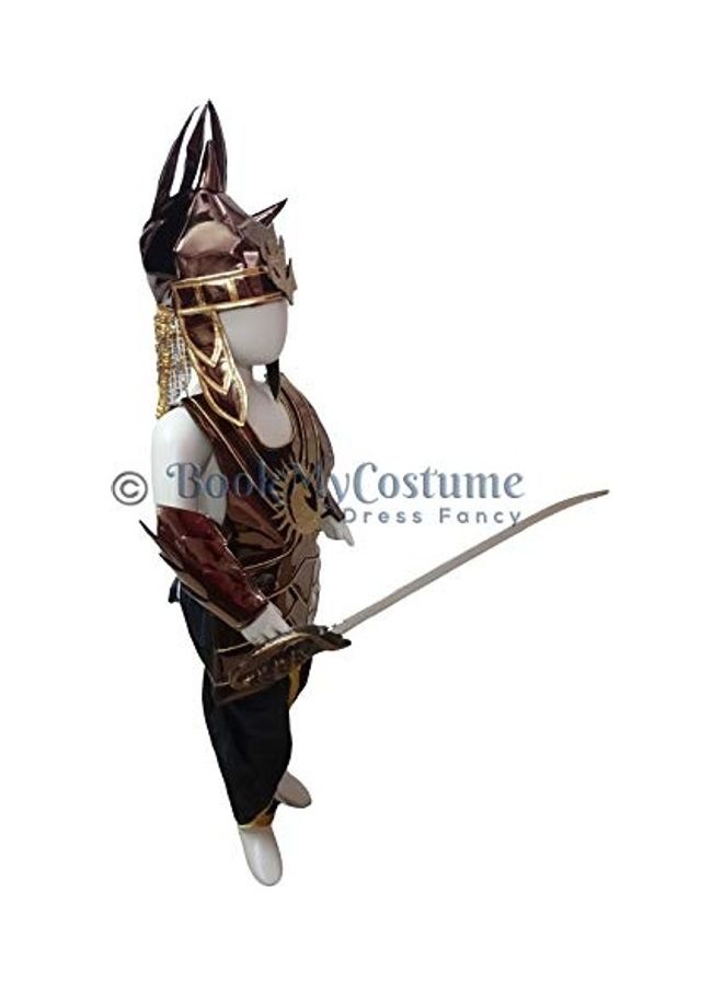 نيبمينينت BookMyCostume Baahubali Warrior with Helmet And Sword Fancy Dress Costume S/M 23x19x3inch - Image 3