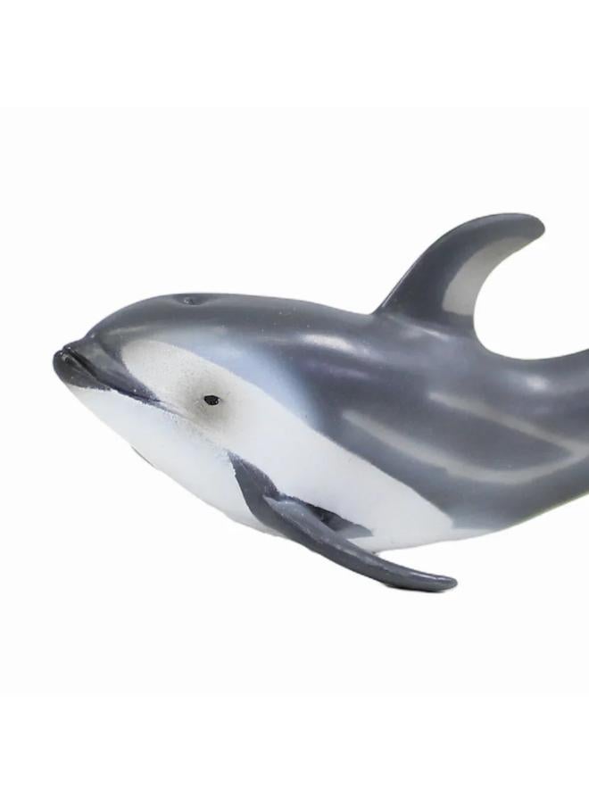 CollectA Pacific White-Sided Dolphin Figurine - Image 3