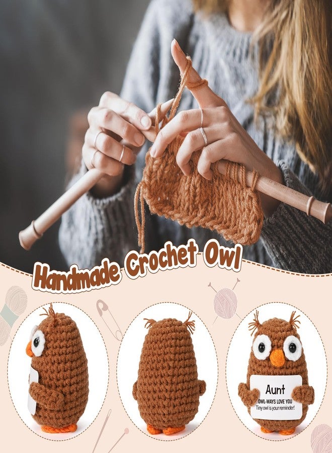 Hweijm Aunt Auntie Gifts from Niece Nephew, Valentines Day Birthday Funny Handmade Crochet Support Owl Gifts for Aunt, I Love You Aunt Present, Best Aunts Auntie Ever Gift for Women - Image 3