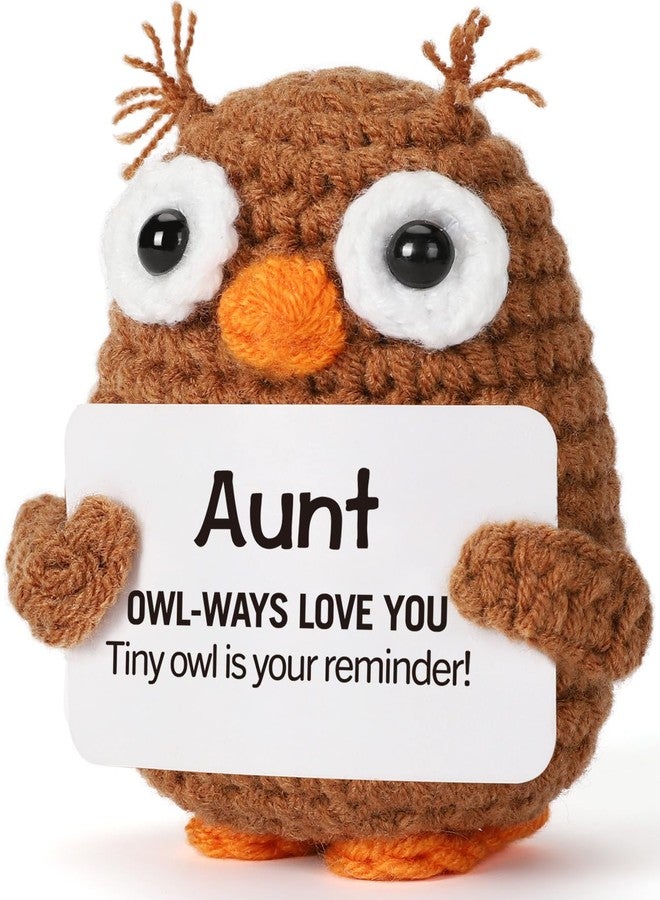 Hweijm Aunt Auntie Gifts from Niece Nephew, Valentines Day Birthday Funny Handmade Crochet Support Owl Gifts for Aunt, I Love You Aunt Present, Best Aunts Auntie Ever Gift for Women - Image 1