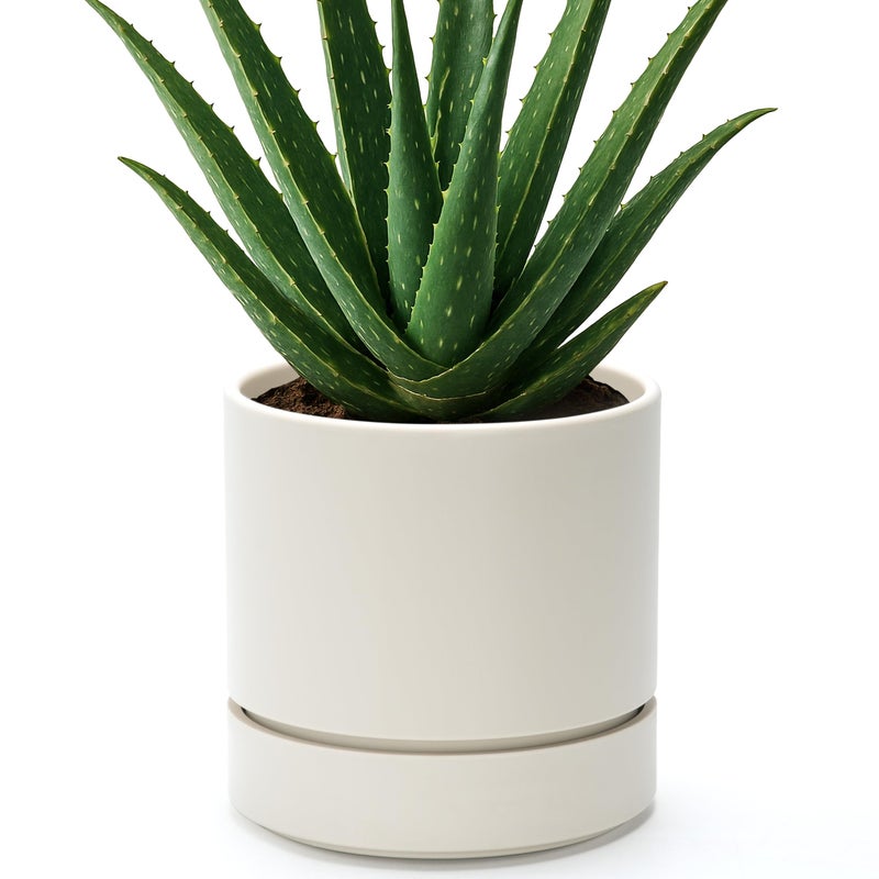 Phoenix Vine 6 Inch Planter Pot with Drainage Hole & Saucer, Deep Water Catch Tray, Straight Cylindrical Round Pot for Plants, Oatmeal, Pack of 1, 23-E-S-1 - Image 1