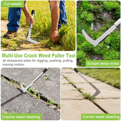 LIFFEE Crack Weeder, Stainless Steel Crevice Weeding Tool with 22'' to 64'' Adjustable Long Handle, L-Shaped Manual Weed Puller Spatula, Weed Remover Gardening Tool for Sidewalks Driveways Patio Pavers Rocks - Image 2