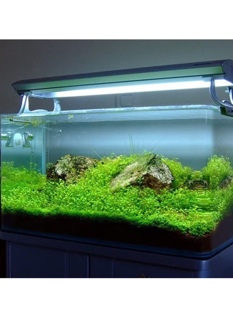REPTIZOO REPTI ZOO Accreate New Aquarium Plant Seeds Aquatic Water Grass Decoration as Garden Fish Tank Foreground Plant Large Eleocharis acicularis (XX-Small)  - Image 2