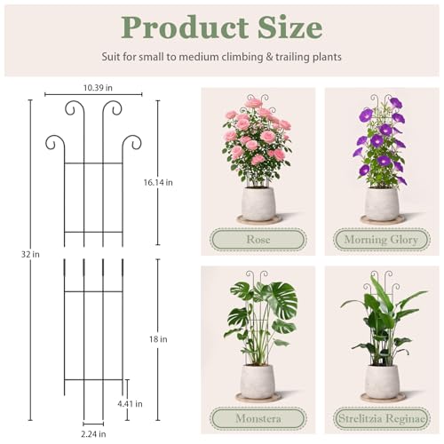 LUCKJUJU 2 Set 32 Taller Plant Trellis for Climbing Plants Indoors Outdoor Garden Metal Trellis Plant Support for Potted Plants Houseplants Flowers Vine Ivy Pothos Monstera - Image 3