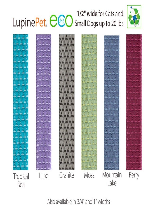 Lupine Extra Small Dog Collar by Lupine ECO Collection 1/2" Wide Berry adjusts from 6" to 9" - Image 3