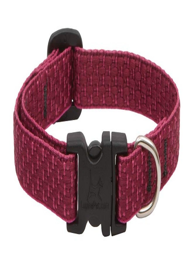 Lupine Extra Small Dog Collar by Lupine ECO Collection 1/2" Wide Berry adjusts from 6" to 9" - Image 1