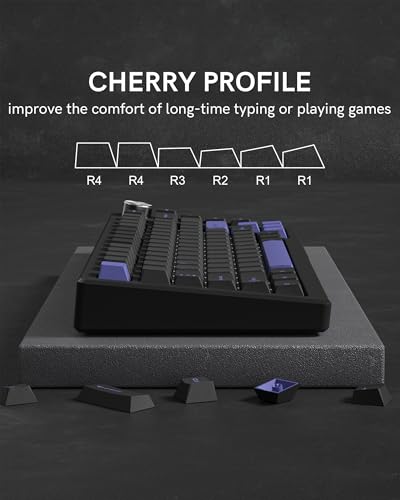 COSTOM Womier Double Shot PBT Keycaps Set 138 Keys, Cherry Profile Custom Keycaps 60 65 75 100 Percent for 61/64/68/84/87/100/104/108 Retro Gaming Mechanical Keyboard, Black Purple - Image 3