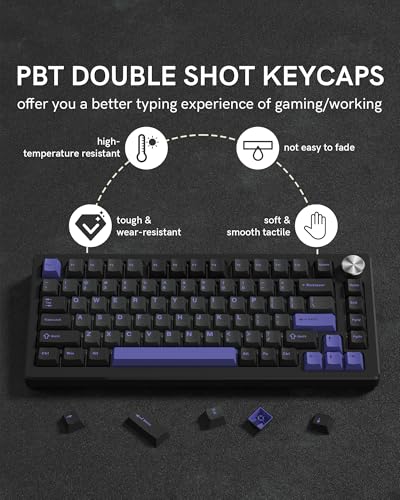 COSTOM Womier Double Shot PBT Keycaps Set 138 Keys, Cherry Profile Custom Keycaps 60 65 75 100 Percent for 61/64/68/84/87/100/104/108 Retro Gaming Mechanical Keyboard, Black Purple - Image 4