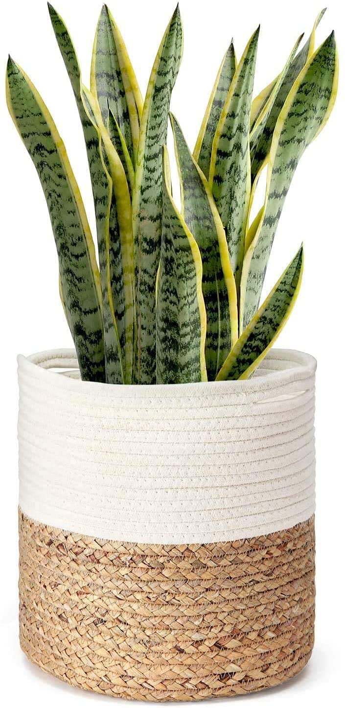 NR Home Stores Hand Crafted Jute Basket For Storagejute baskets for organizing Plant pot Baskets 8x8IN 10 x 10 inch Beige - Image 3