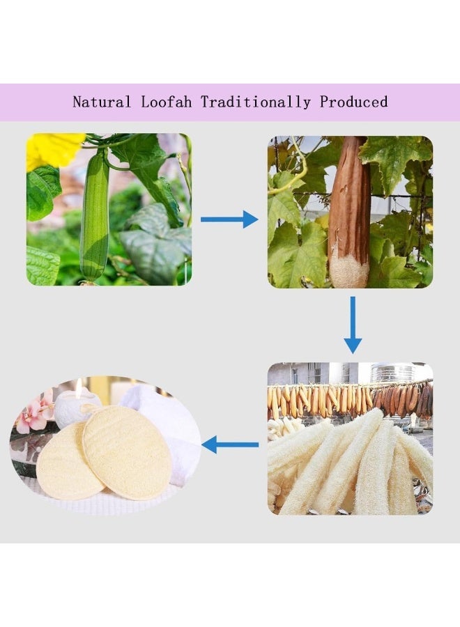 ليفة طبيعية لتقشير الجسم، إسفنجة استحمام للنساء والرجال، مصنوعة من إسفنجة استحمام قابلة للتحلل الحيوي، للوجه والجسم لتنظيفك (3 قطع) - Image 3