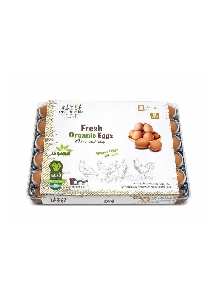 Eggs, Medium Brown - 30 eggs, UAE