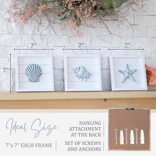 Tide and Tales TideAndTales Blue Seashells and Starfish (Framed Set of 3) Coastal 3D Wall Art, Beach Wall Decor for Bathroom or Coastal Bedroom, Ocean Inspired Seaside Decorations for Home or Beach House (7"x7") - Image 5