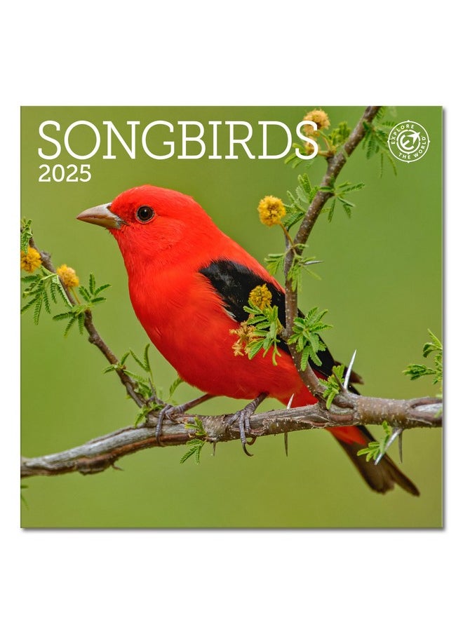 Ziga Media - Songbirds Mini Wall Calendar 2025, 7" X 7" - Image 1