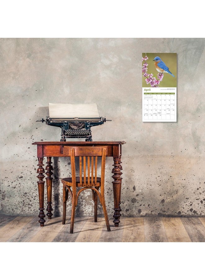Ziga Media - Songbirds Mini Wall Calendar 2025, 7" X 7" - Image 1