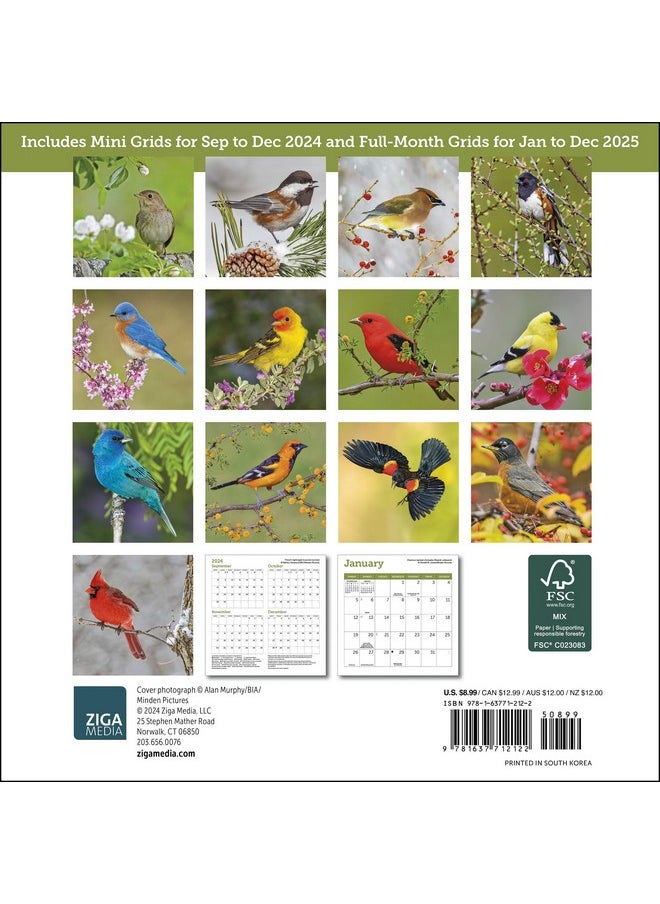 Ziga Media - Songbirds Mini Wall Calendar 2025, 7" X 7" - Image 1