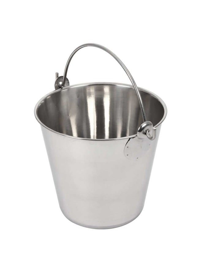 Lindy's 4-Quart Stainless Steel Bucket, Durable Seamless Bucket for Many Home Tasks, Carry Water or Milk, Fill with Food, Use as a Flower Pot, Cleaning Bucket, Table Centerpiece and Much More - Image 2
