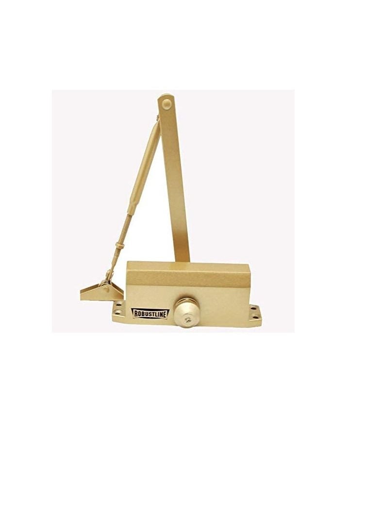 ROBUSTLINE ROBUSTLINE Automatic Adjustable Door Closer | 45-60 KG Capacity | Gold Color  - Image 1