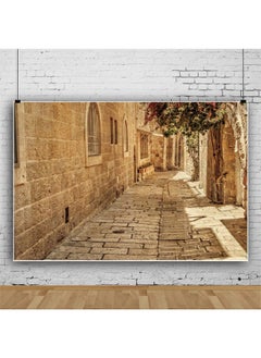 CSFOTO 7X5Ft Jerusalem Old Narrow Street Backdrop Old Jerusalem Stone Backdrop Spring Flowers Sunshine Background For Photography Backdrop Ancient Stone Wall Backdrop Cave Backdrop  - Image 4