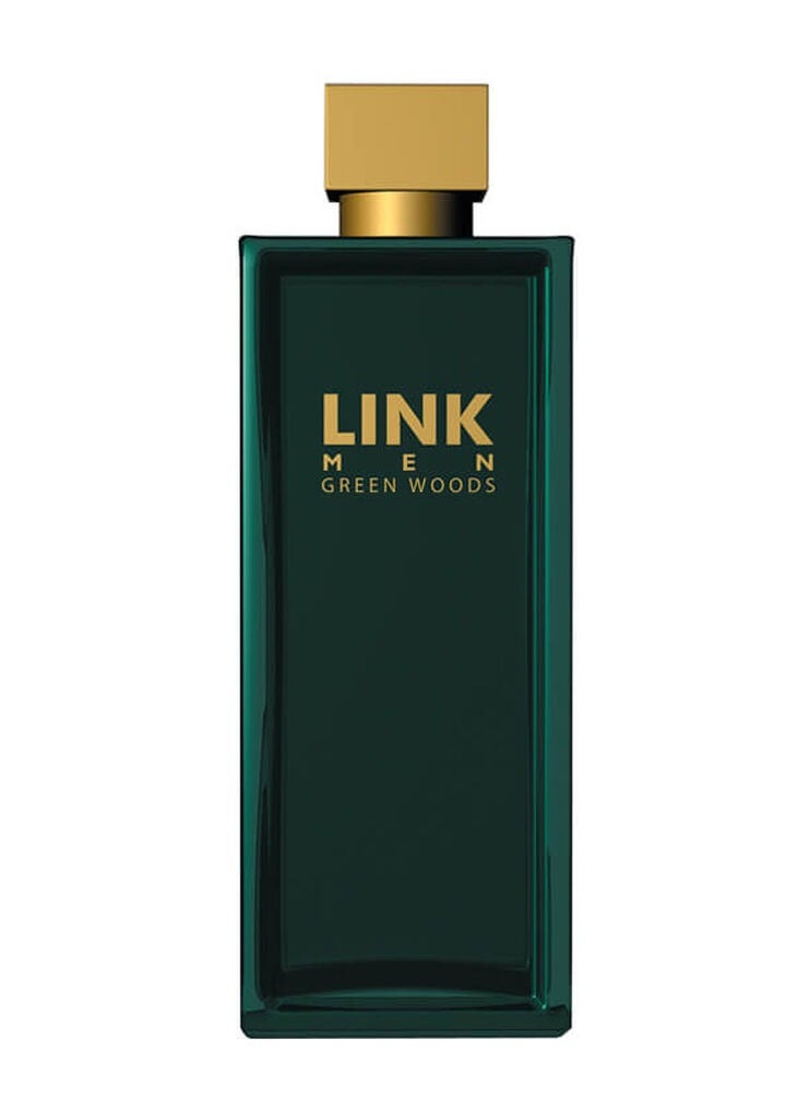 لينك عطر لينك جرين وودز 200 مل  - Image 1