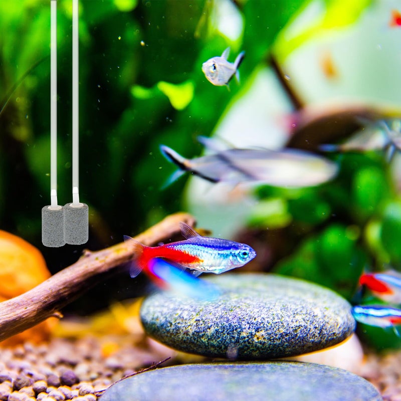 USB Aquarium Air Pump Portable Dual Outlet Fish Tank Oxygen Pump for Home Outdoor Fishing - Image 4