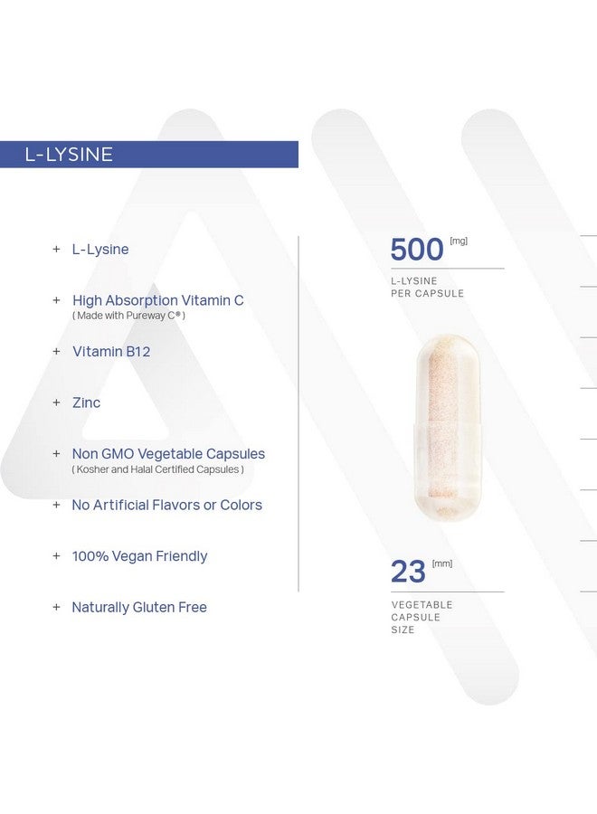 Anew Vita L-Lysine Supplement with Vitamin B12 + C + Zinc for Lip, Mouth, and Oral Tissue Health - Enhanced Wellness Support - Non-GMO, Gluten-Free - Made in USA - 60 Vegetable Capsules, 500mg - Image 3