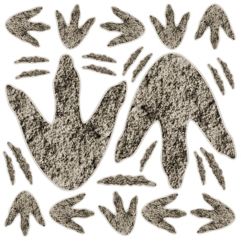 90 Realistic Dinosaur Footprints  Wall Decals for Kids Classroom School Playroom Baby Nursery Bedroom Home 3 Sizes