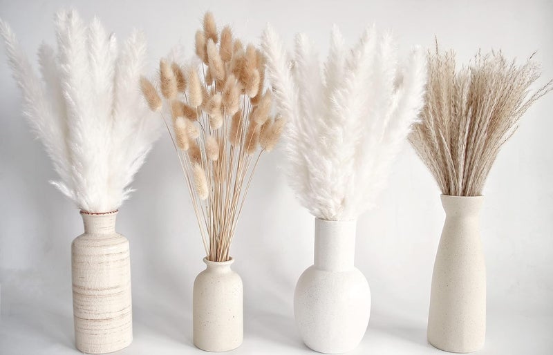 ANPROOR Natural Dried Pampas Grass Decor, White Pampas Grass， Bunny Tails Dried Flowers, Reed Grass Bouquet for Wedding Boho Flowers Home Table Decor, Rustic Farmhouse Party (100 in Total ) - Image 2