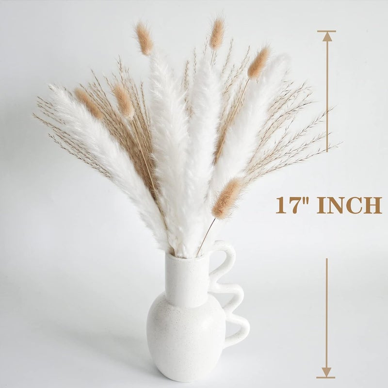ANPROOR Natural Dried Pampas Grass Decor, White Pampas Grass， Bunny Tails Dried Flowers, Reed Grass Bouquet for Wedding Boho Flowers Home Table Decor, Rustic Farmhouse Party (100 in Total ) - Image 3