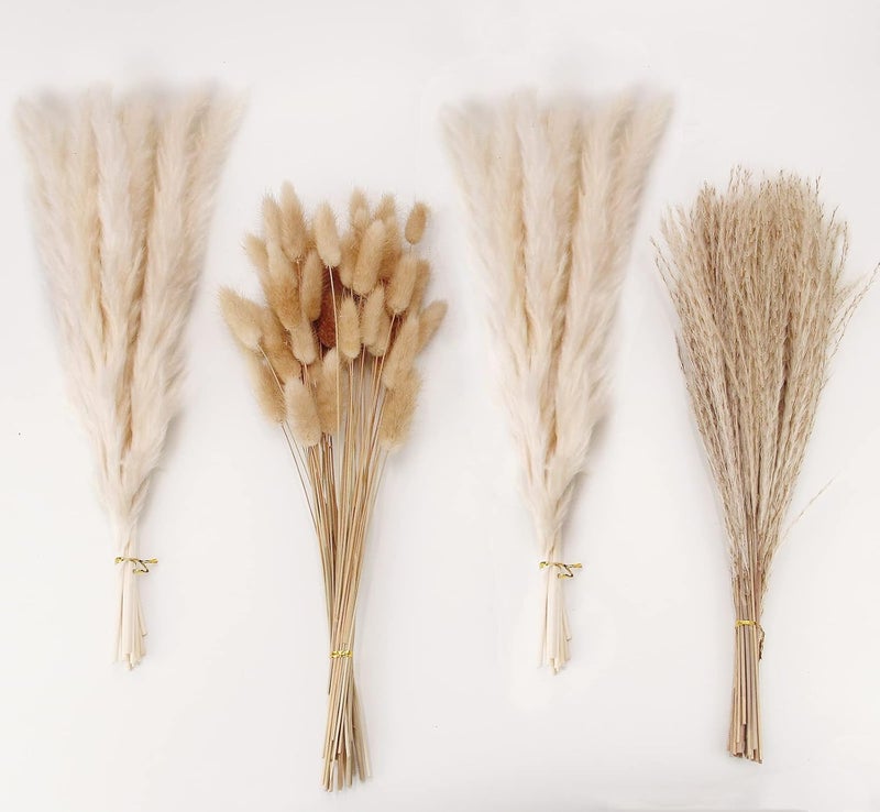 ANPROOR Natural Dried Pampas Grass Decor, White Pampas Grass， Bunny Tails Dried Flowers, Reed Grass Bouquet for Wedding Boho Flowers Home Table Decor, Rustic Farmhouse Party (100 in Total ) - Image 1
